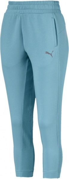 Штани Puma EVOSTRIPE Pants 58006245 р. L синій