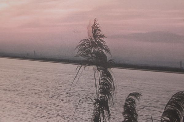 Картина Захід сонця 90x60 см Styler OB-02646 