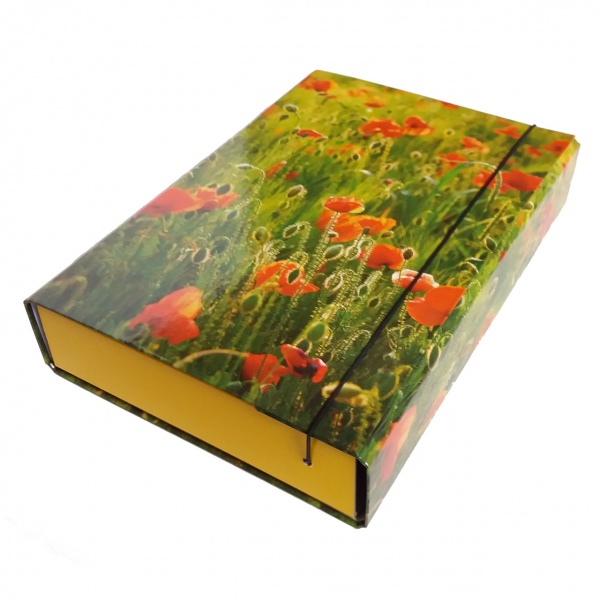 Папка-короб на резинке А4 60 мм PP-покрытие в ассортименте iTEM