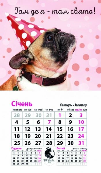 Календар «Магніт (20 видів) на 2021 год» 9786177308224