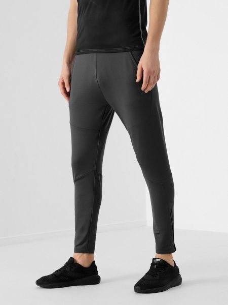 Брюки 4F D4L21-SPMTR101P-25S р. 2XL серый