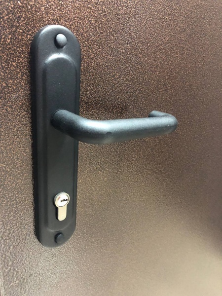 Дверь входная B & G медь антик 2050x850 мм правая