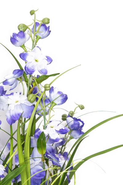 Растение декоративное Окопник фиолетовый в горшке 75 см Девилон