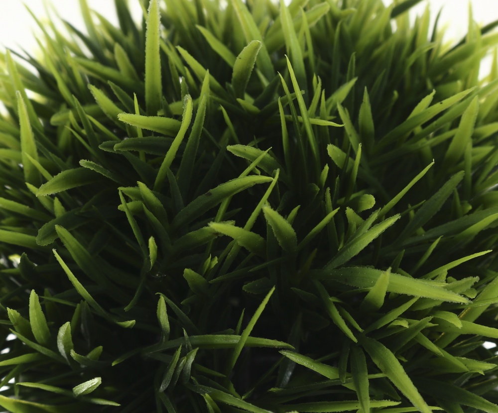 Рослина штучна Fleur 6х14 см зелена у чорному горщику