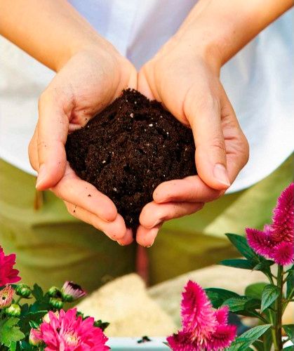 Торфосмесь универсальная Compo Sana 5 л + апликатор для зеленых расстений и пальм 30 мл 5 шт.