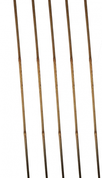 Бамбукова підтримка Elsa 75 см