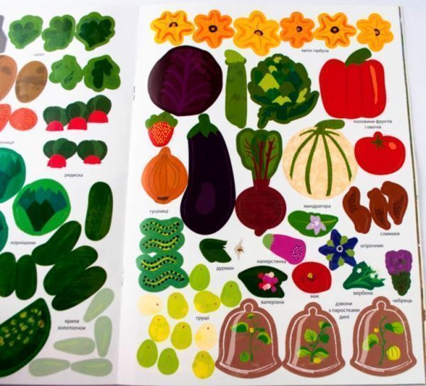 Книга «Моя книга природи : На городі» 978-617-09-4099-5