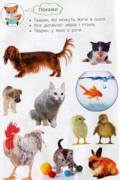 Книга «Фотокнига. Царство тварин. Серія шукайчик. Тв.обкладинка»