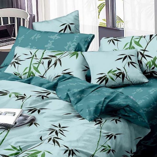 Комплект постільної білизни Sien 1.5 різнокольоровий принт SoundSleep 