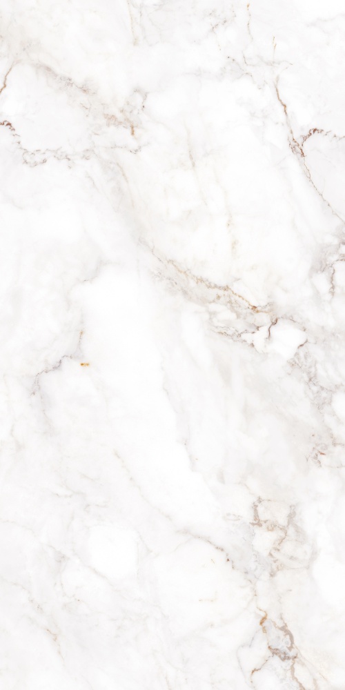 Плитка Allore Group Palazzo White F P R Satin 60x120 см