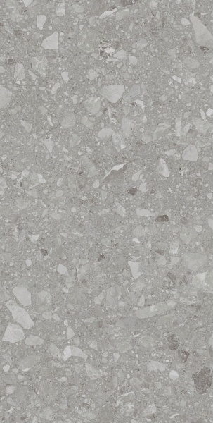 Плитка Allore Group Terra Grey F P R Mat (51,84) 60x120x8 