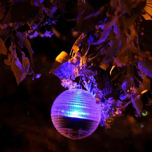 Світильник на сонячній батареї Wolta Fiore IP44 прозорий 