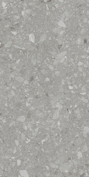 Плитка Allore Group Terra Grey F P R Mat (51,84) 60x120x8 