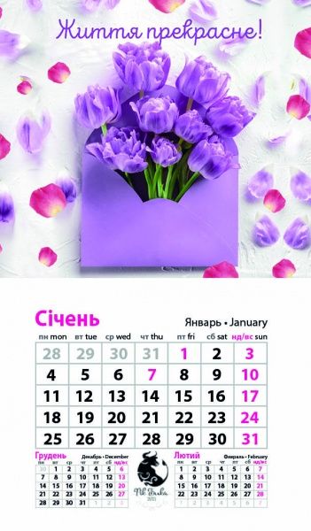 Календар «Магніт (20 видів) на 2021 год» 9786177308224