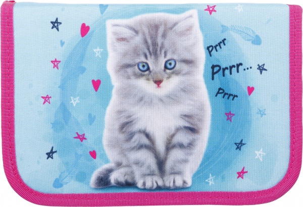 Пенал школьный Жизнь с котиком 52602736 Lider розовый