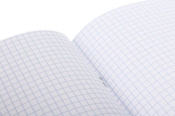 Тетрадь школьная Dinosaur 18 листов клетка Nota Bene