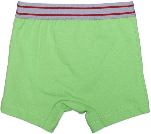 Труси для хлопчиків боксерки Габбі зелений 12025 