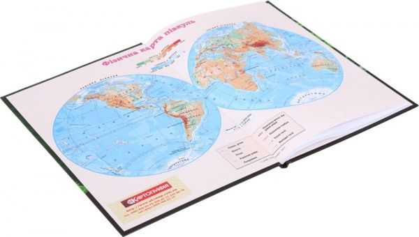 Дневник школьный Panda