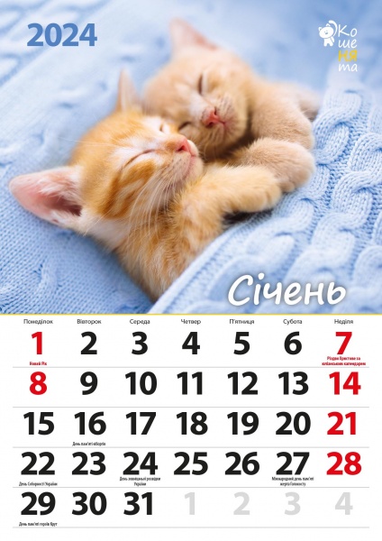 Календарь настенный «Світовид міні Кошенята» 2024