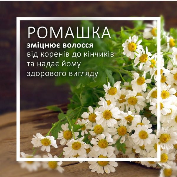 Шампунь Schauma Ромашка для ежедневного ухода 400 мл