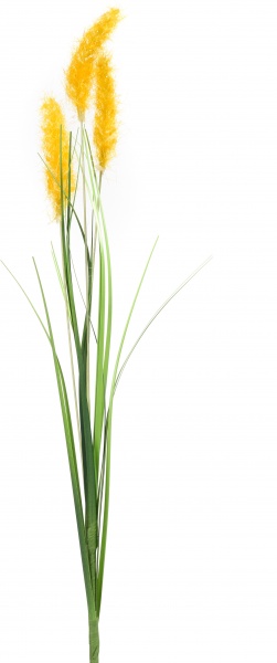 Веточка декоративная Камыш 40 см в ассортименте (Epi-TLY200309)