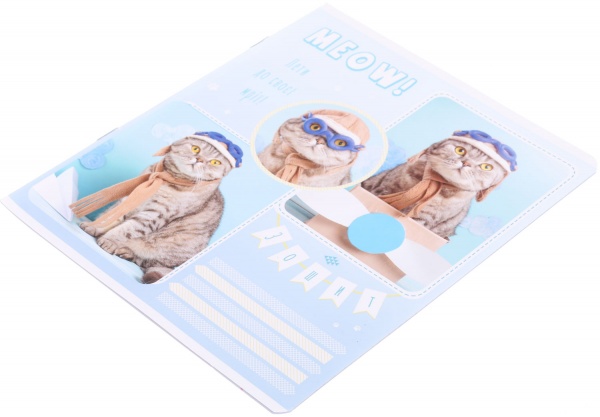 Тетрадь школьная Tadward коса