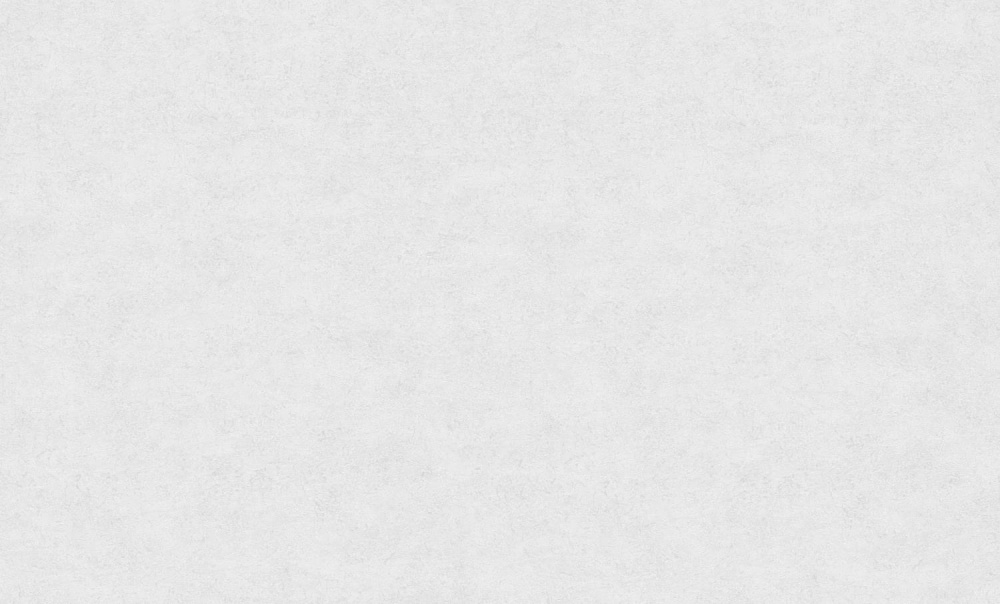 Шпалери вінілові на флізеліновій основі Bravo 81116BR00 1,06x10,05 м