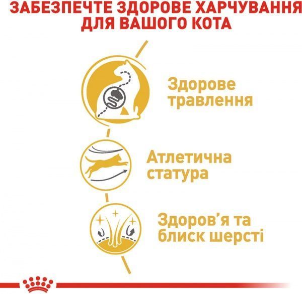 Корм Royal Canin Bengal Adult 400 г