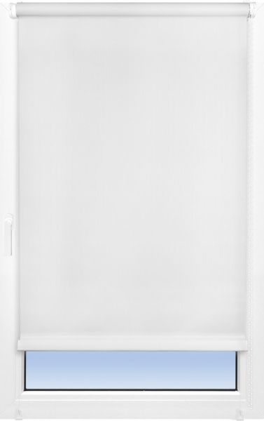 Ролета мини Delfa Лен 48x160 см белая 