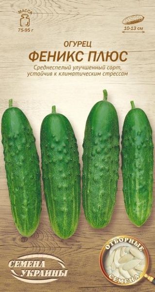 Семена Семена Украины огурец Феникс плюс 1г