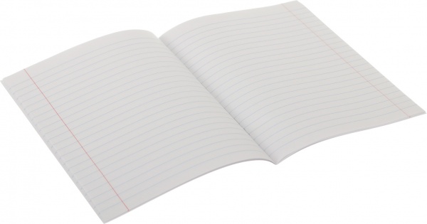 Тетрадь школьная Raccoon 18 листов в линию