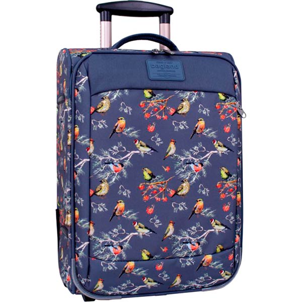 Валіза Bagland 37666194 32 л різнокольоровий Vichenzo 445 