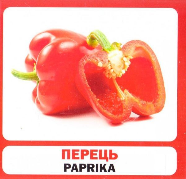 Книга «Навчальний посібник. Овочі. англ-укр»