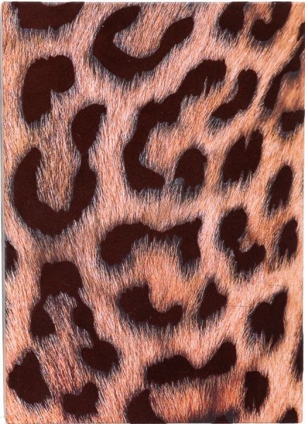 Книга для записей Тигр 14х20 см