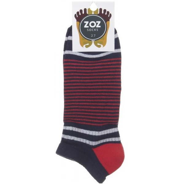Шкарпетки чоловічі ZOZ смужка р. 27 синьо-білий 