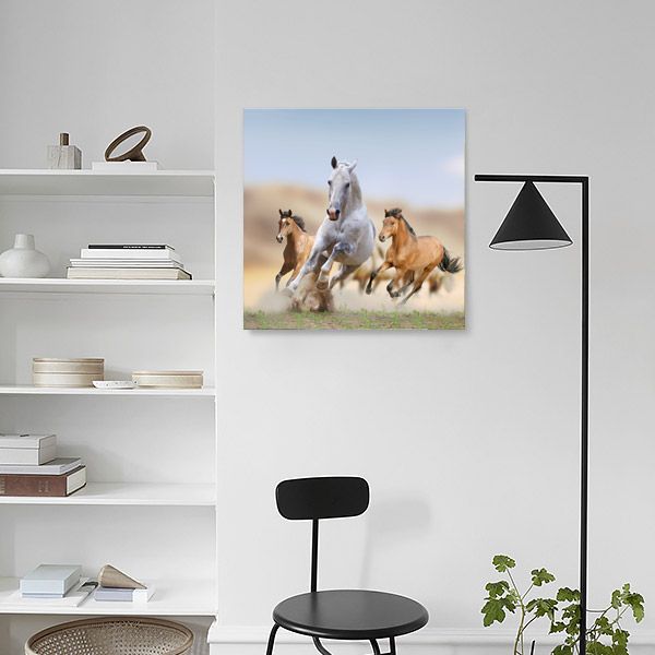 Репродукция Жизнь животных 48x48 см 