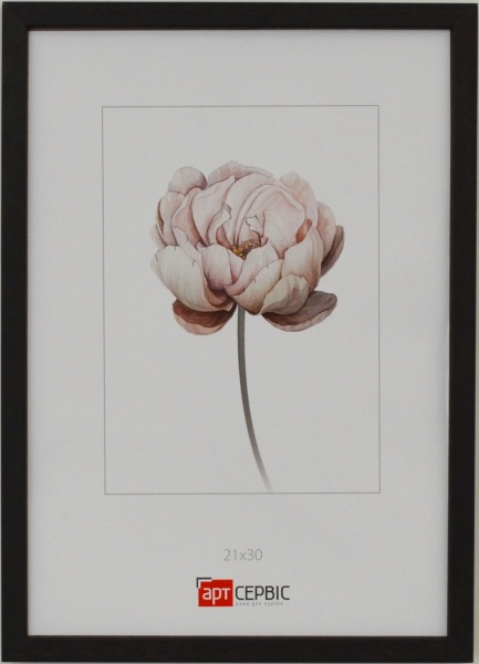 Рамка для фото Арт-Сервіс ЕА-01818 1 фото 21х30 см коричневий 