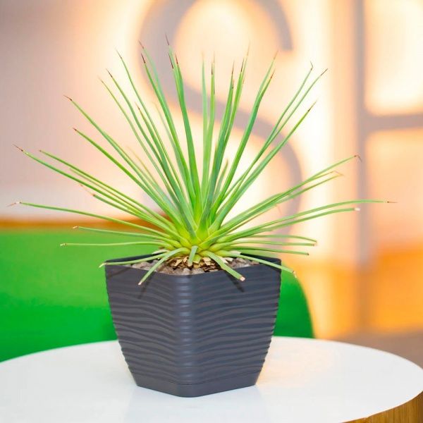 Вазон пластиковий Form Plastic Сахара міні Квадро-19 квадратний 4,2л сірий 