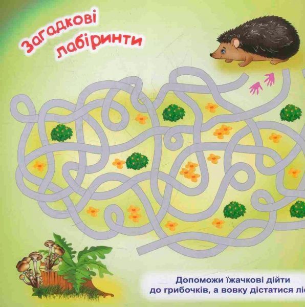 Книга Л. В. Киенко «Дитячі головоломки з наліпками *Вовчик* 4+.» 978-966-939-422-4