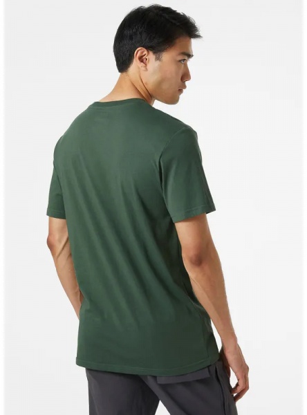 Футболка Helly Hansen NORD GRAPHIC T-SHIRT 62978-476 р.M зеленый