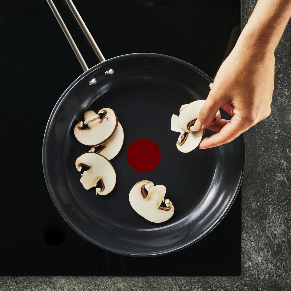 Сковорода Tefal Nordica 28 см H8710655