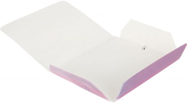 Папка для тетрадей папка для тетрадей на резинке Holiday Cat, 200х230 мм