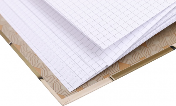 Книга учета Престиж А4 96 листов в ассортименте Аркуш