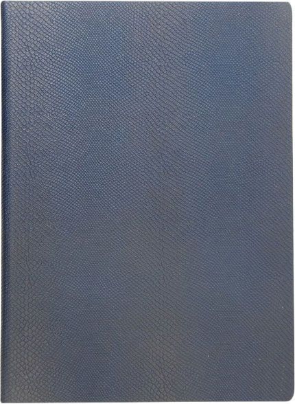 Щоденник недатований Amazonia синій А4 Buromax