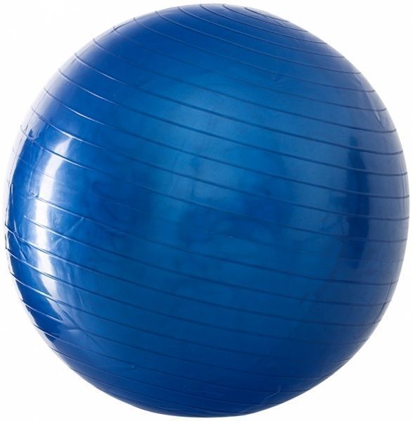 Фитбол HMS YB01 d55 