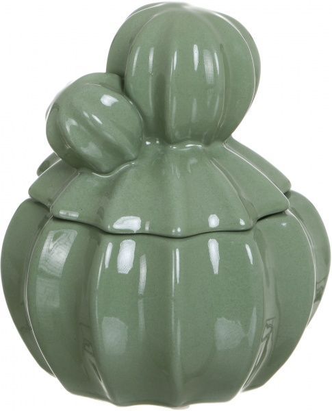 Скринька Кактус WW 2704-15 світло-зелений Eterna