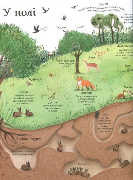 Книга Минна Лейси «Велика ілюстрована книга про природу» 978-617-7579-24-2