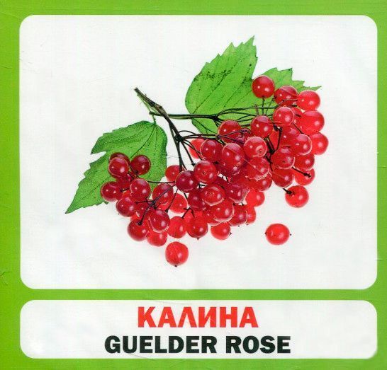 Книга «Навчальний посібник. Україна. англ-укр»