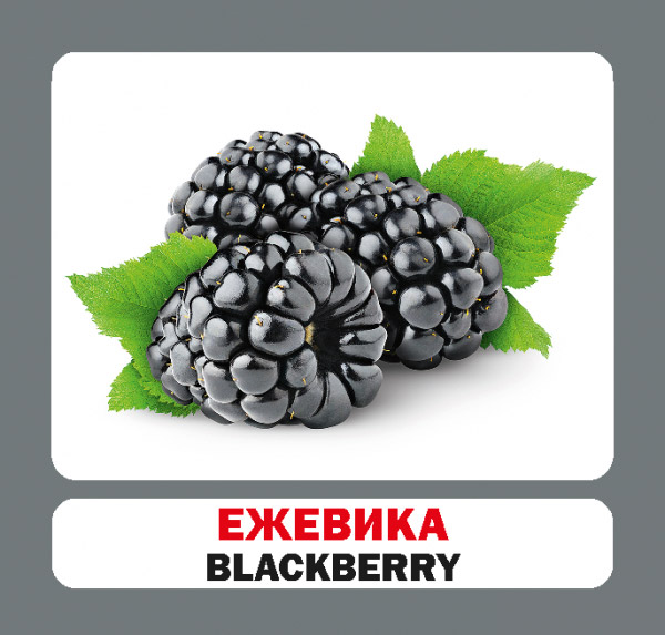 Книга «Навчальний посібник. Ягоды.» 9786177686131