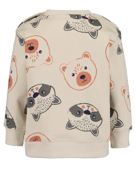 Реглан для мальчика Blue Seven трикотажный Приключения р.74 серо-бежевый 984102 X* 